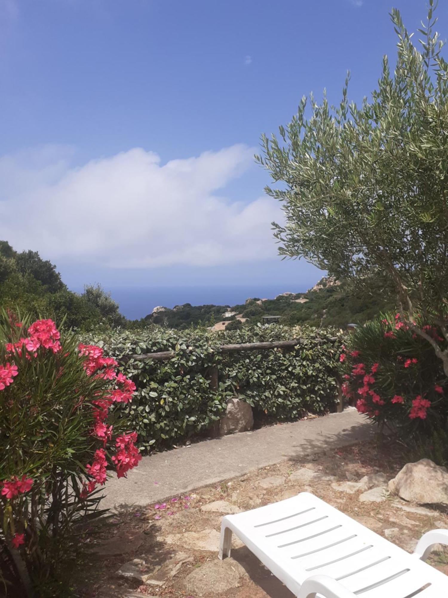 Villetta Rocchi - Costa Paradiso Εξωτερικό φωτογραφία